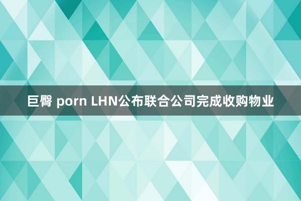 巨臀 porn LHN公布联合公司完成收购物业