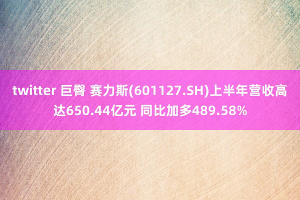 twitter 巨臀 赛力斯(601127.SH)上半年营收高达650.44亿元 同比加多489.58%