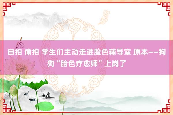 自拍 偷拍 学生们主动走进脸色辅导室 原本——狗狗“脸色疗愈师”上岗了