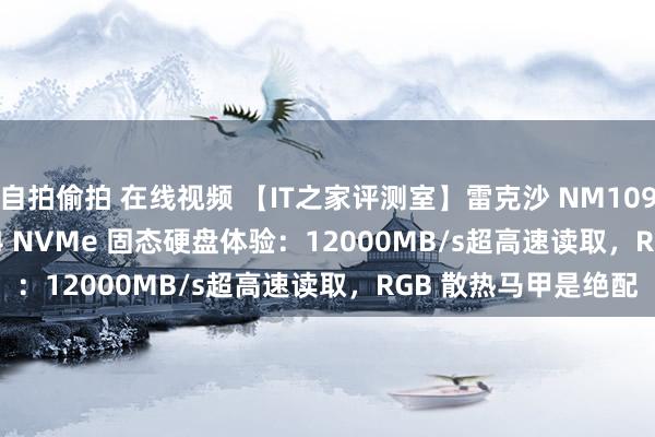 自拍偷拍 在线视频 【IT之家评测室】雷克沙 NM1090 PCIe5.0 Gen5x4 NVMe 固态硬盘体验：12000MB/s超高速读取，RGB 散热马甲是绝配