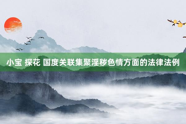 小宝 探花 国度关联集聚淫秽色情方面的法律法例